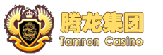 腾龙集团(中国区)有限公司官网